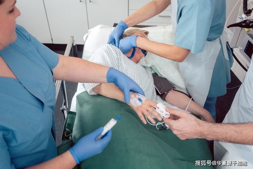 ����������ÿ��Է��ƺ�