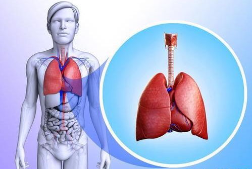脱髓鞘误诊为肿瘤比例 脱髓鞘误诊为肿瘤比例