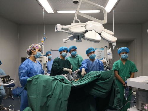 ���������߿��Գ�ƻ����