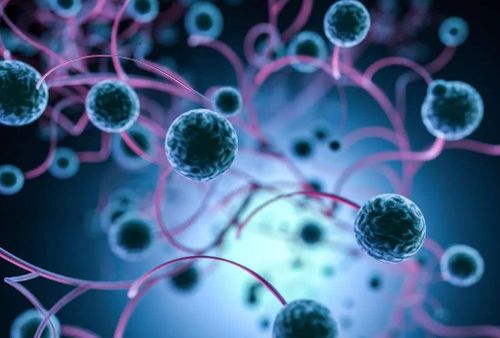 蝶鞍增大一定是肿瘤吗 蝶鞍增大一定是肿瘤吗