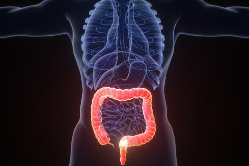 ���������������� �������е��ٴ�����