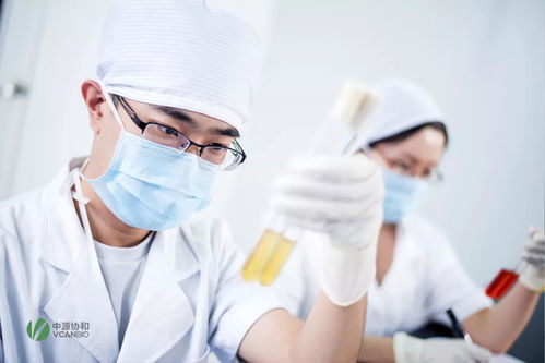 萧正楠个人资产多少亿 萧正楠个人资产多少亿