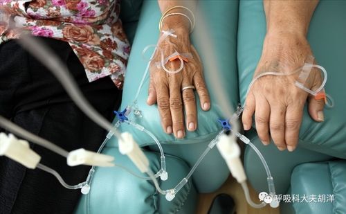 ����������ʹ�и�����ʷ