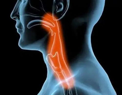 ����ʲô���Լ������