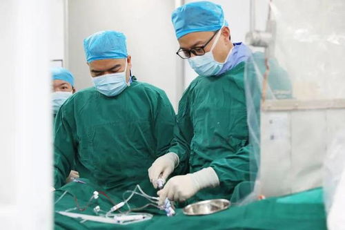 山东聊城脑肿瘤报销多少 山东聊城脑肿瘤报销多少