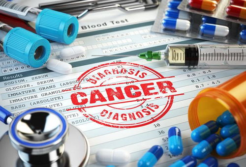 �ΰ�������������������