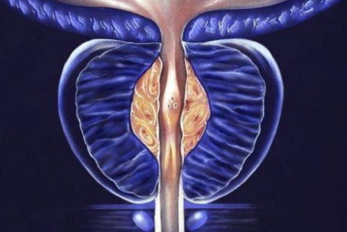 ���������᲻����ʹ����