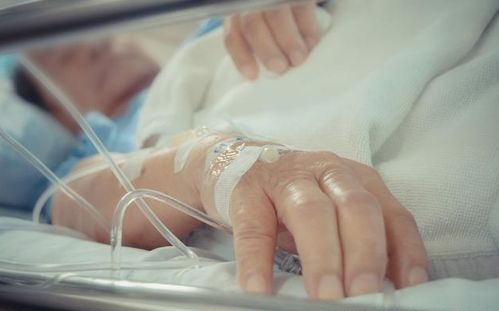 �������������Ѿ�������