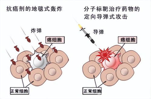 ������ڷ������������