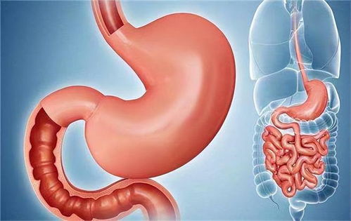 彩虹-7无人机首飞成功 彩虹-7无人机首飞成功