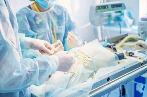 卵巢肿瘤术后五年不复发 卵巢肿瘤术后五年不复发