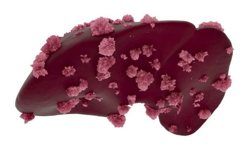 �����������������Щҩ