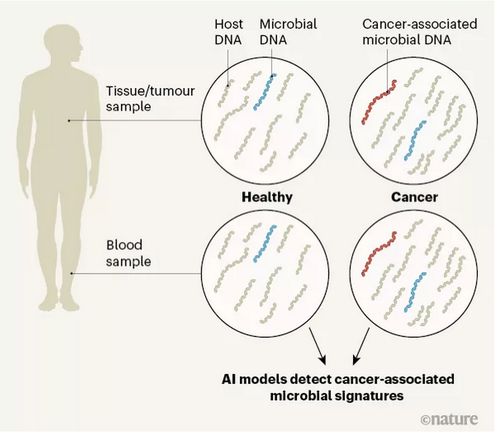 ��Ѫ�������ӳ���65���� ��Ѫ���޶��ݰ������������