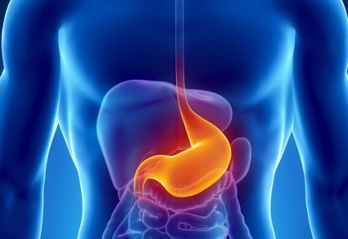 b��û�в������������