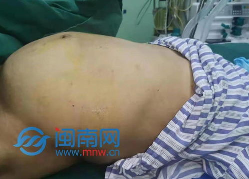 小兵张嘎 小兵张嘎电视剧免费观看 小兵张嘎 小兵张嘎电视剧免费观看