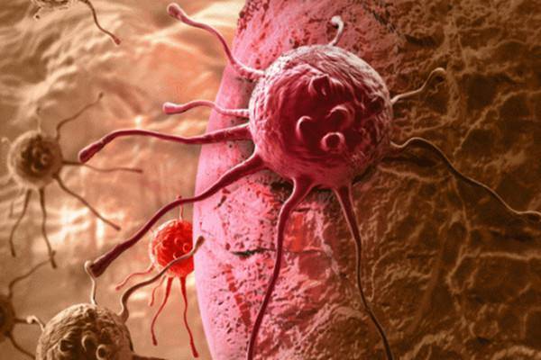 ��ؽ������ļ����ú�