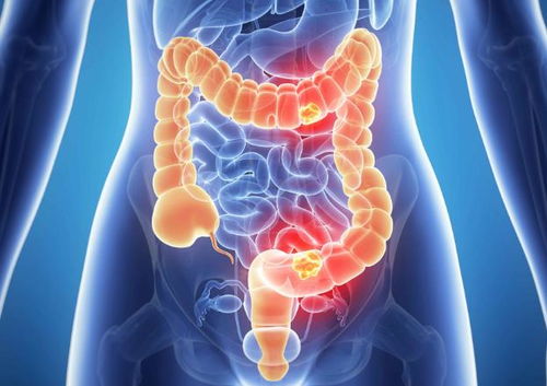 �Ϻ�����ҽԺ��ɫ(�Ϻ�����ҽԺ�ĸ�ҽ���ȽϺ�)