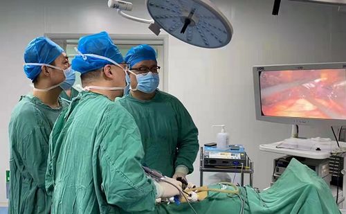 1cm乳腺肿瘤_1cm乳腺肿瘤大吗 1cm乳腺肿瘤_1cm乳腺肿瘤大吗