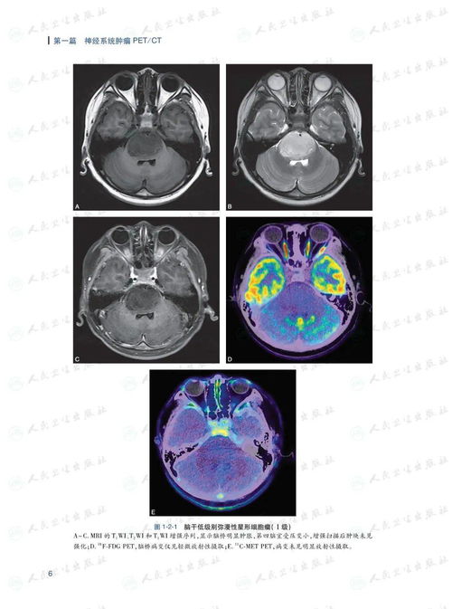 ����������ʲôʳ���