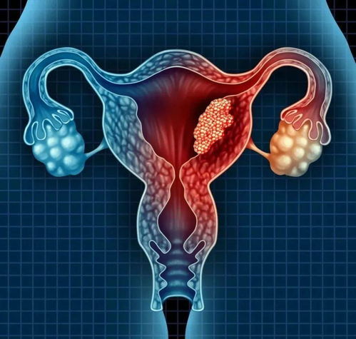 �ܰ���Ѫϵͳ����ƶѪ