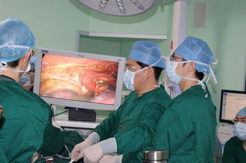 肿瘤细胞病理主要数据 肿瘤细胞病理主要数据