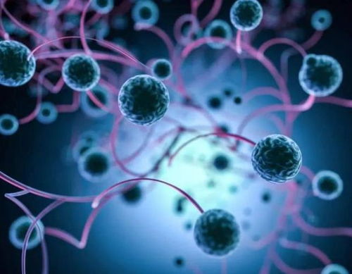 有脑肿瘤可以吃蛋白粉吗 有脑肿瘤可以吃蛋白粉吗