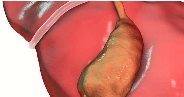 哈尔滨肿瘤医院会诊号 哈尔滨肿瘤医院会诊号