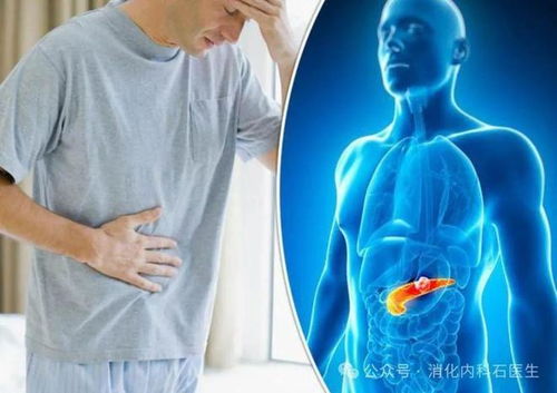 新佳乐论坛(新佳乐是什么车系) 新佳乐论坛(新佳乐是什么车系)