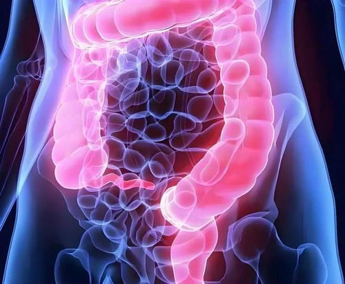 ����������ҽ��֤����