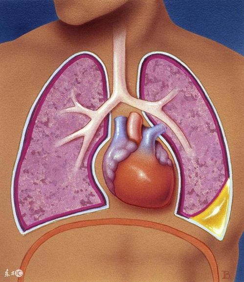 �������߹�ת�ƹ�ͷ����