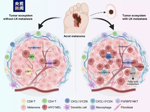 Ů���г�һ�������� �г�������Σ����