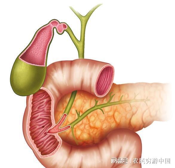 脾上肿瘤挂什么科检查 脾上肿瘤挂什么科检查