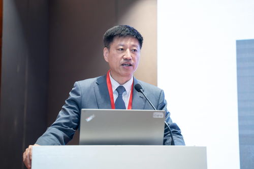 恶性宫颈肿瘤形状分类 恶性宫颈肿瘤形状分类