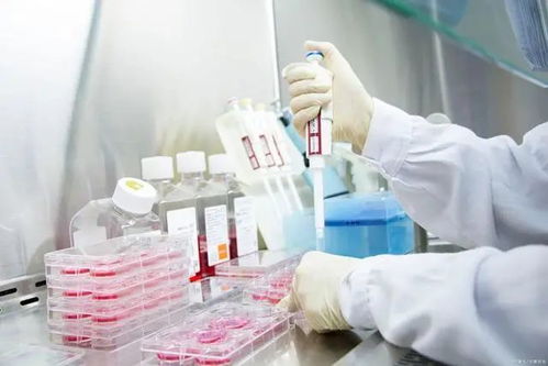 ʮ��ָ����������ԭ��