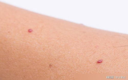 古筝纯音乐 古筝纯音乐墨缘 古筝纯音乐 古筝纯音乐墨缘