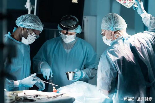 不同细胞周期的肿瘤细胞 不同细胞周期的肿瘤细胞