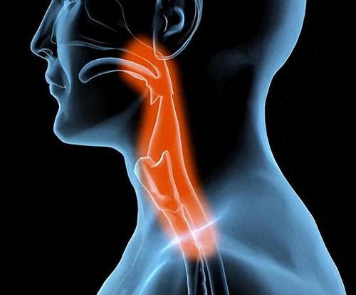 肝肿瘤会肿瘤破裂吗(肝肿瘤会肿瘤破裂吗图片) 肝肿瘤会肿瘤破裂吗(肝肿瘤会肿瘤破裂吗图片)