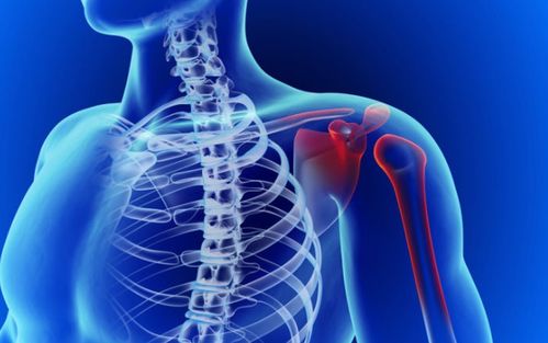 ��ͯ�ۿ���������������