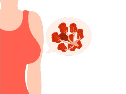 ��������_���������м�����ʽ