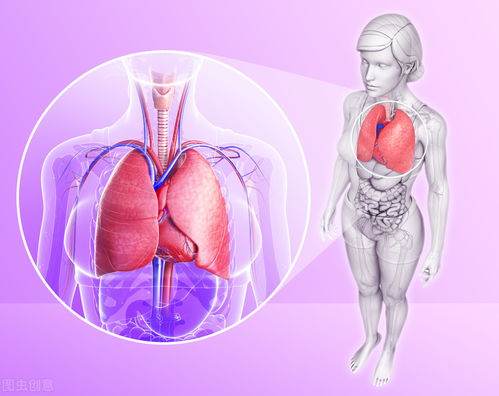 乳腺会长囊肿和肿瘤吗 乳腺会长囊肿和肿瘤吗