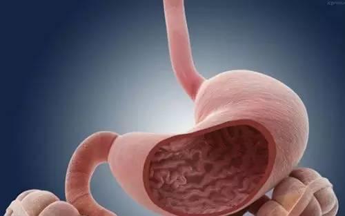 高湛认出林殊(高湛认出林殊后 他们之间的具体对话内容是什么 ) 高湛认出林殊(高湛认出林殊后 他们之间的具体对话内容是什么 )