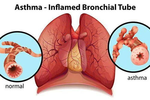 �����ƶ��� �����ƶ���Ӱ��������