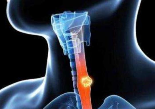 ����ҽԺ����Ժ����Ƹ