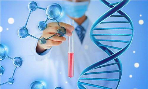 抗肿瘤实验中肿瘤尺寸 抗肿瘤实验中肿瘤尺寸