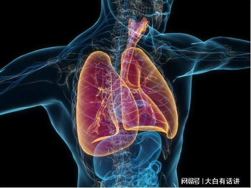 ���Ƹ������ϼ������