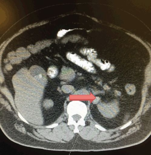 八旗姓氏 蒙古八旗姓氏 八旗姓氏 蒙古八旗姓氏