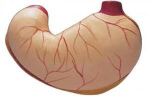 腿部肿瘤会导致抽筋吗 腿部肿瘤会导致抽筋吗