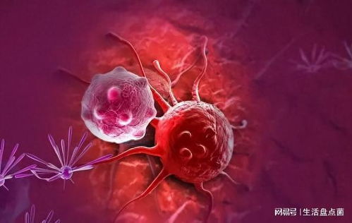 怎么看肝有没有肿瘤病变 怎么看肝有没有肿瘤病变