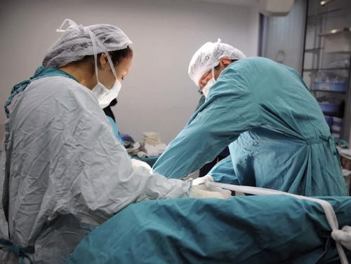 ���������鴤��ҩ����