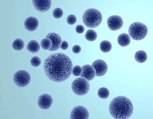 ���������������� ���೤��������Σ����